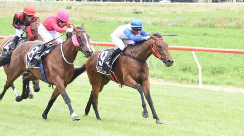 Express-Coup-Kurow-Dec-2022-RIS-500x280.