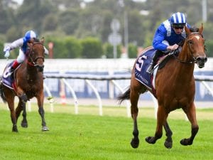 Minhaaj impresses in Flemington victory