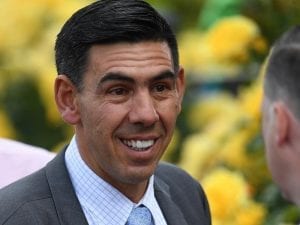 Illustrious Lad in order for Dubai tilt