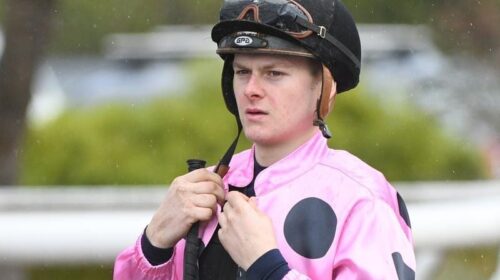 Gallops_Brown_4-3_16994655_1963671_20190