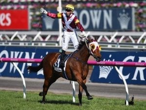Lee Curtis seeks lift by Lasqueti Spirit