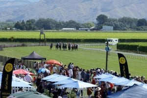 Gisborne racing