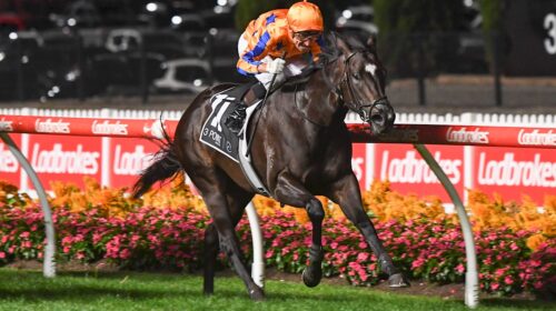 Imperatriz-William-Reid-Stakes-500x280.j