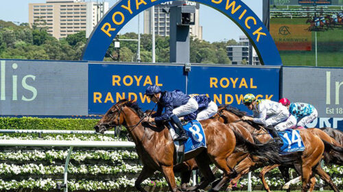 Learning-To-Fly_Ashlea-Brennan-500x280.j