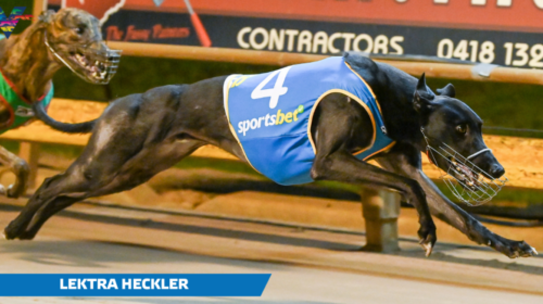 Lektra-Heckler-Shepparton-Cup-Winner-on-