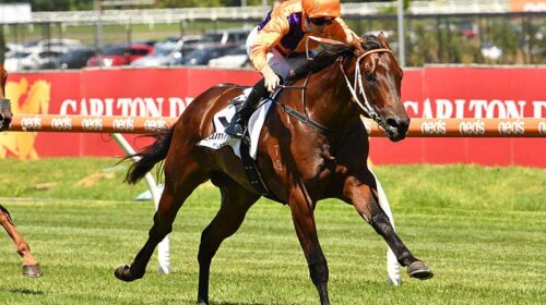 Melbourne-2022_Sebonack-Cfield-050222-QL