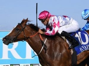 Blinkers on Champagne Cuddles in Newmarket