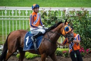 Bosson closing in on jockey great’s tally