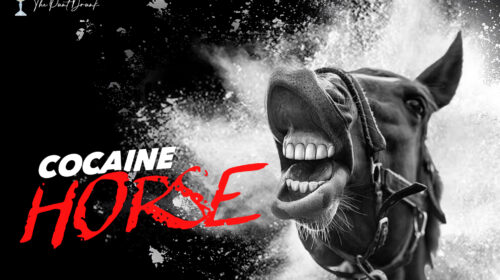 PD-Cocaine-Horse-500x280.jpg