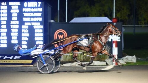 Pebble-Beach-blog-Breeders-Crown-breedin