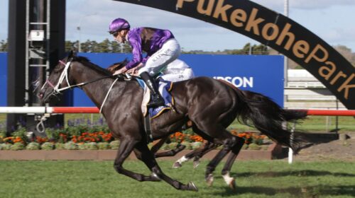 Platinum-Invader-A12Z5720-scaled-1-500x2