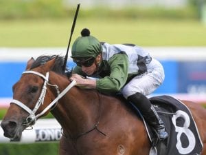 Shared Ambition claims first Listed race