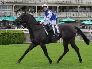 Flying filly Villami destroys her rivals