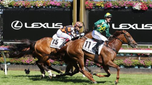 Roch-N-Horse-G1-Newmarket-Flemington-12.