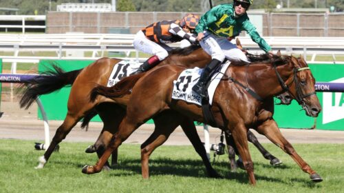 Roch-N-Horse-G1-Newmarket-Flemington-12.