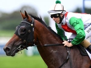 Madison County poised for Tulloch Stakes