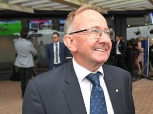 Daysee ready to bloom at Rosehill