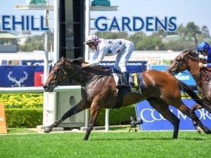 Slipper favourites to eyeball each other