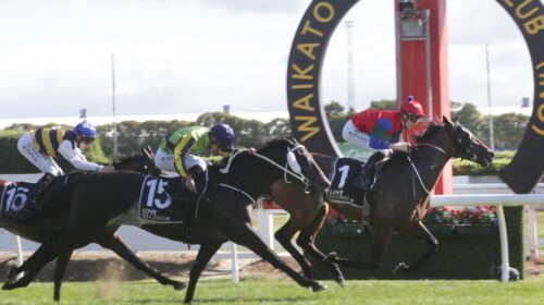 Sharp-N-Smart-AM6Q5506-scaled-2-500x280.