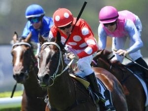 Sandbar to handle Golden Slipper pressure