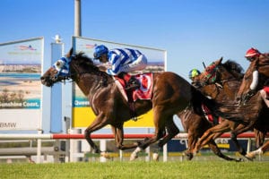 Sunshine Coast betting tips & top odds | Sunday, March 21