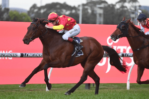 Bott expecting Surf Dancer to bounce back in The Gong
