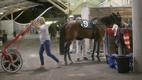 Temporale-michelle-wallis-alex-park-2021