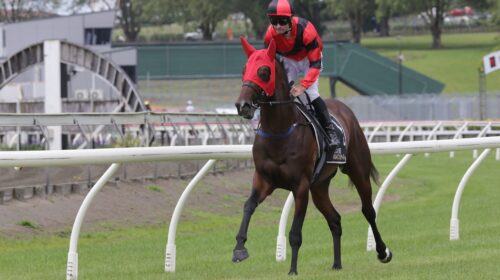 There-Goes-My-Hero-p-4321-scaled-1-500x2