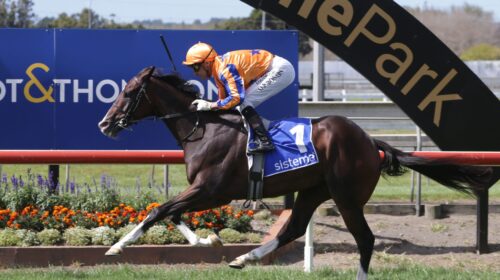 Tokyo-Tycoon-A12Z4359-002-scaled-1-500x2