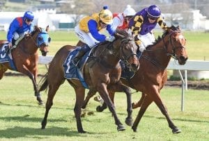 Tuscan set to Whistle in Wanganui