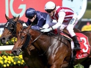 Shoals wins the Group One Surround Stakes