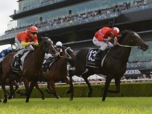 Gear change for Seabrook in G1 Vinery