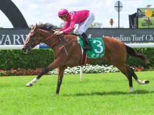 Kembla Classic on wish list for Mandylion