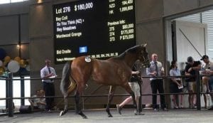 Inglis Classic Sale