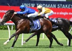 2023 Inglis Sires’ Field & Odds: Cylinder Tipped To Win