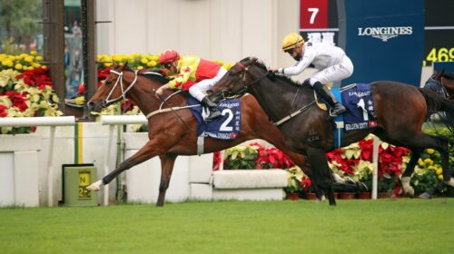 20221211-ST-R7-A90I4239sk-scaled-1-500x2