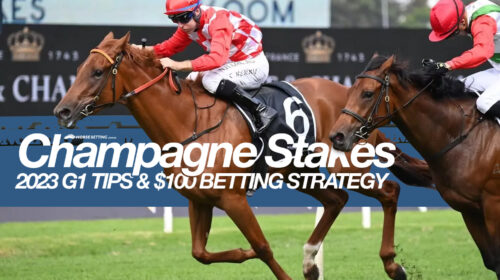 2023-Champagne-Stakes-Preview-500x280.jp