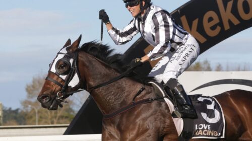 Belclare-app-Spratt-S-5271-scaled-1-500x