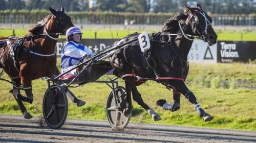 Bondi-Lustre-Shannon-OSullivan-blog-Apri