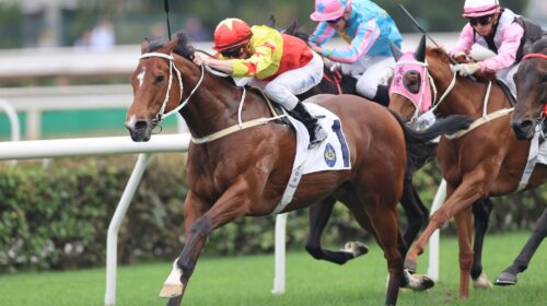 California-Spangle-94-scaled-1-500x280.j