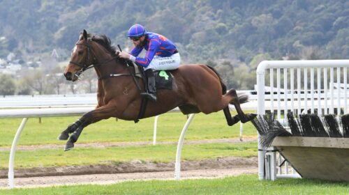 ENGLISH-DANCER-TE-AROHA-5-9-2021-RACE-IM