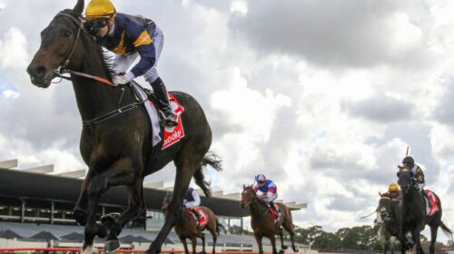 Irish-Butterfly_29-04-2023_WIN_Sandown_2