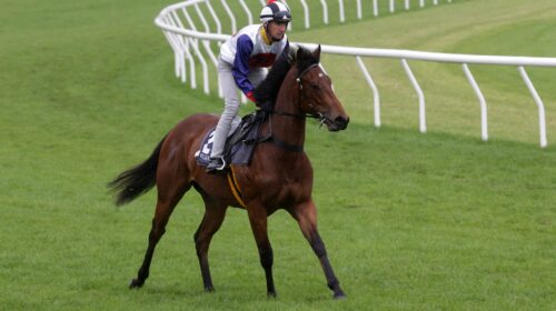 Just-A-Floozie-p-7748-scaled-1-500x280.j