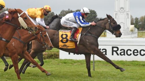 LOVE-FOR-ALL-RACE-IMAGES-PHOTO-PETER-RUB