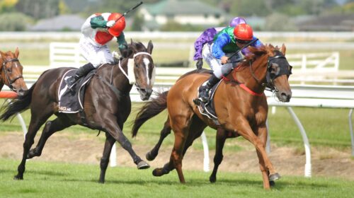 MARRONI-MANAWATU-18-12-2021-PHOTO-RACE-I