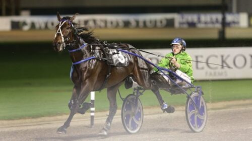 Muscle-Mountain-blog-Auckland-April-23__