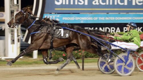 Muscle-Mountain-blog-National-Trot-Alex-