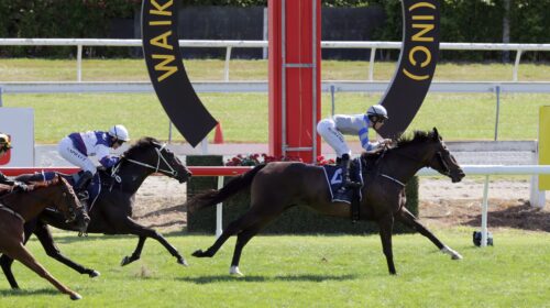 Sakura-Girl-Te-Rapa-G3-Sunline-Vase-4.3.