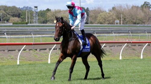 To-Catch-A-Thief-p-4266-scaled-1-500x280