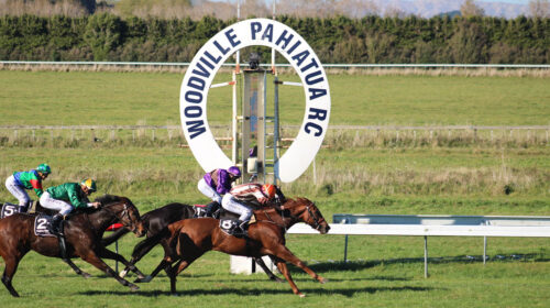 Woodville-Races-500x280.jpeg